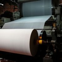 paper industry